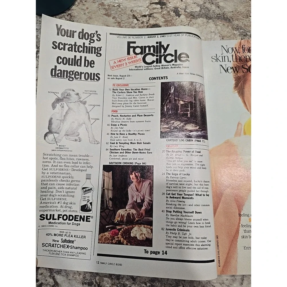 Family Circle Magazine August‎ 2 1983